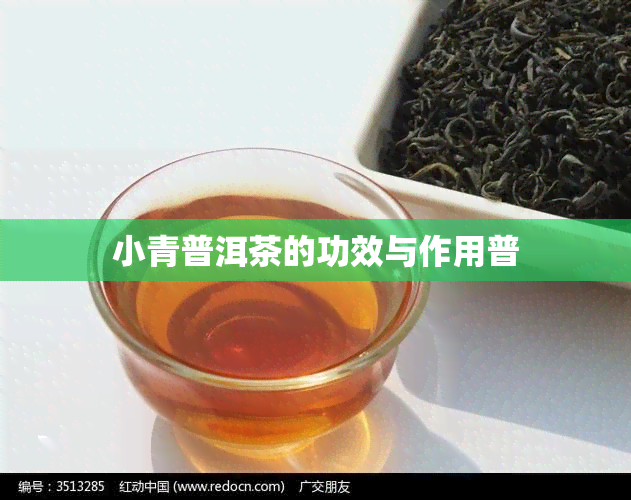 小青普洱茶的功效与作用普