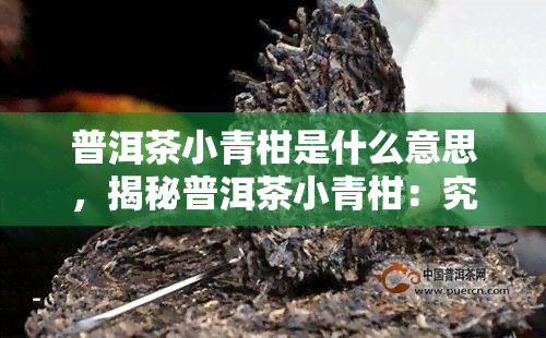 普洱茶小青柑是什么意思，揭秘普洱茶小青柑：究竟是什么意思？