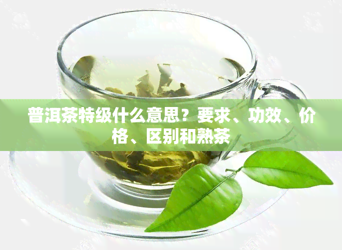 普洱茶特级什么意思？要求、功效、价格、区别和熟茶