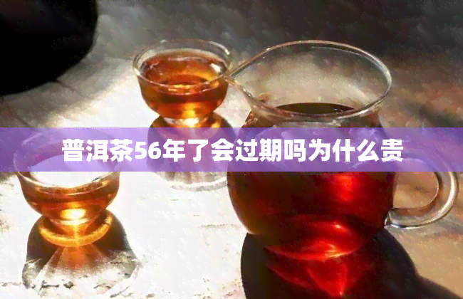 普洱茶56年了会过期吗为什么贵