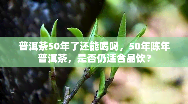 普洱茶50年了还能喝吗，50年陈年普洱茶，是否仍适合品饮？