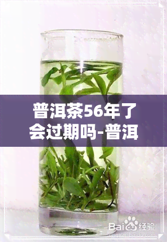 普洱茶56年了会过期吗-普洱茶56年了会过期吗能喝吗