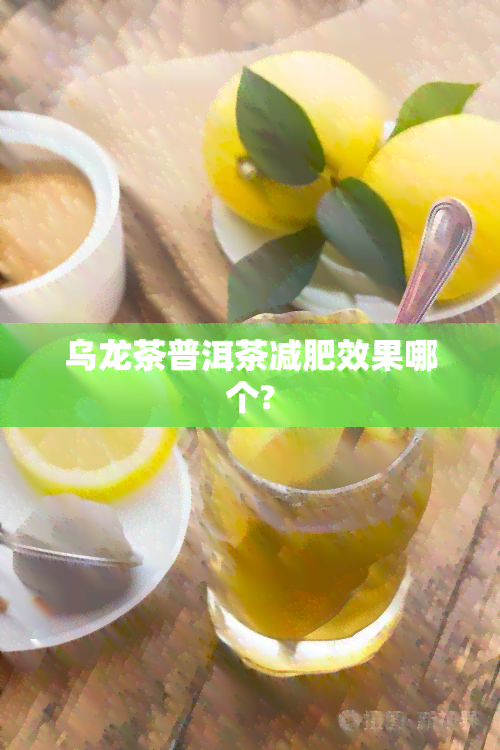 乌龙茶普洱茶减肥效果哪个?