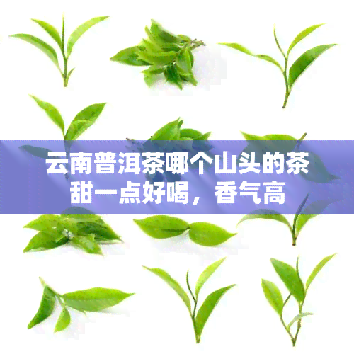 云南普洱茶哪个山头的茶甜一点好喝，香气高