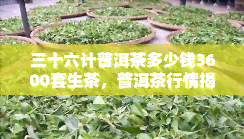 三十六计普洱茶多少钱3600套生茶，普洱茶行情揭秘：3600套生茶价格曝光！