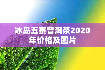 冰岛五寨普洱茶2020年价格及图片