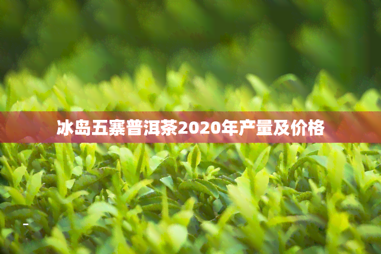 冰岛五寨普洱茶2020年产量及价格