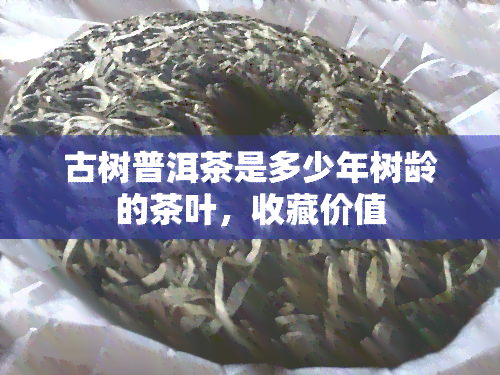 古树普洱茶是多少年树龄的茶叶，收藏价值