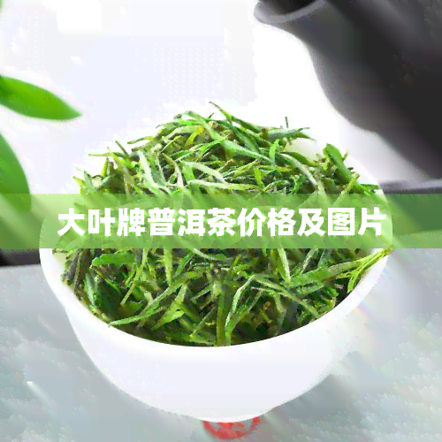 大叶牌普洱茶价格及图片