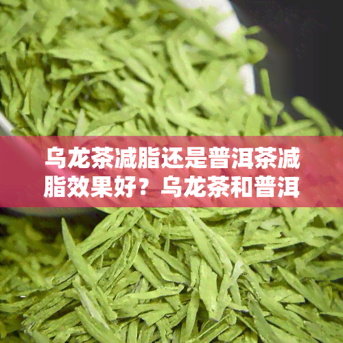 乌龙茶减脂还是普洱茶减脂效果好？乌龙茶和普洱茶哪个减肥效果更好？