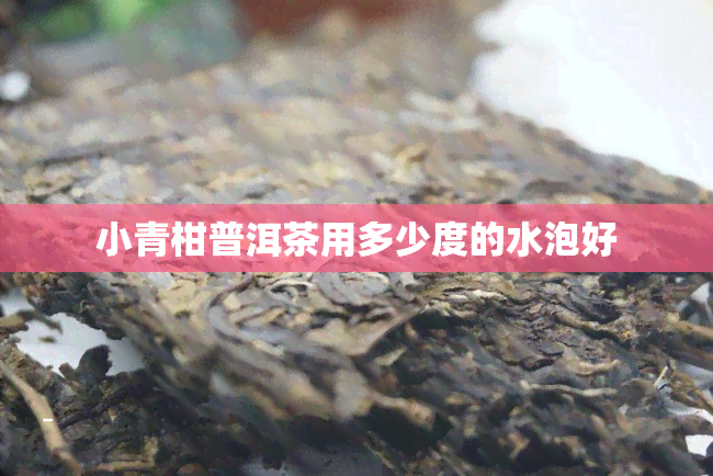 小青柑普洱茶用多少度的水泡好