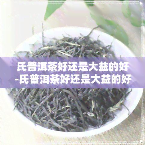 氏普洱茶好还是大益的好-氏普洱茶好还是大益的好喝