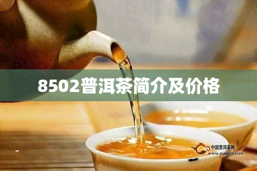 8502普洱茶简介及价格