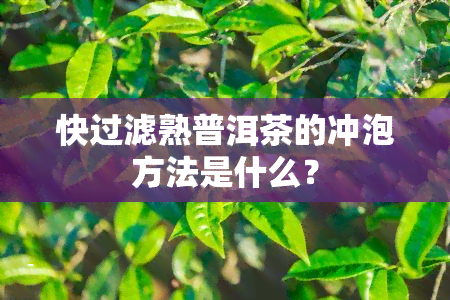 快过滤熟普洱茶的冲泡方法是什么？