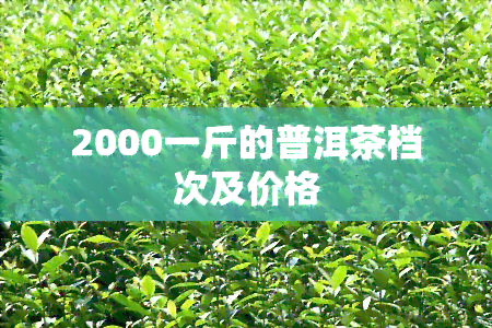 2000一斤的普洱茶档次及价格