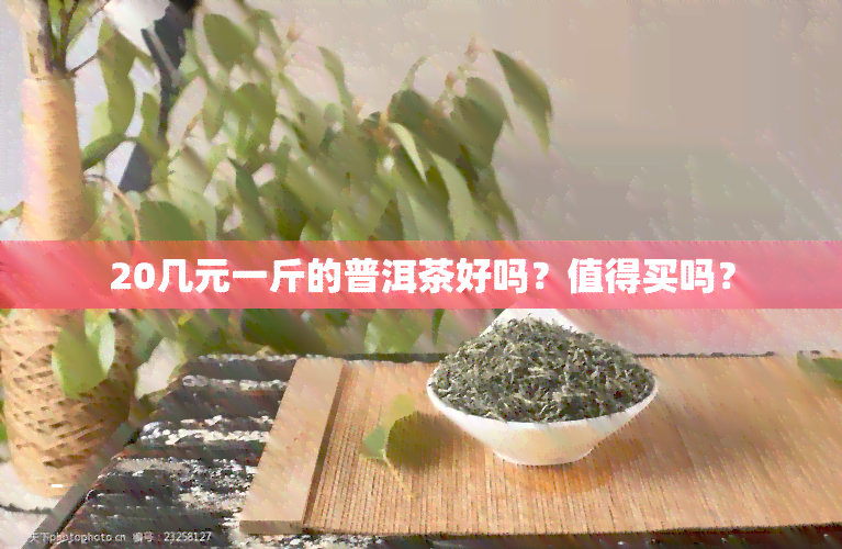 20几元一斤的普洱茶好吗？值得买吗？