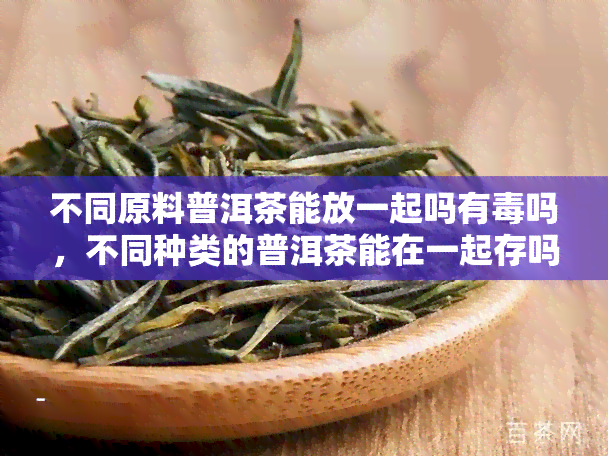 不同原料普洱茶能放一起吗有吗，不同种类的普洱茶能在一起存吗?