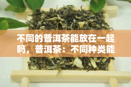 不同的普洱茶能放在一起吗，普洱茶：不同种类能否共存？