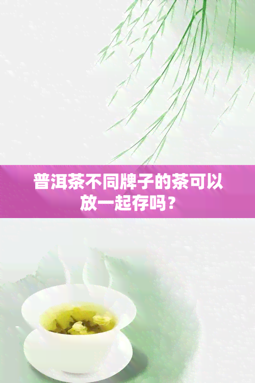 普洱茶不同牌子的茶可以放一起存吗？