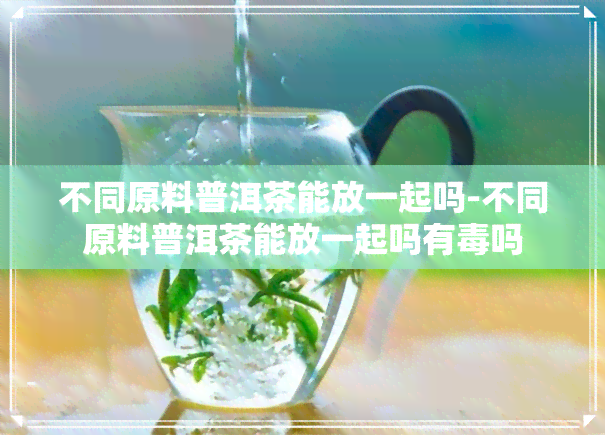 不同原料普洱茶能放一起吗-不同原料普洱茶能放一起吗有吗