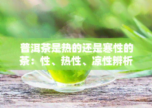 普洱茶是热的还是寒性的茶：性、热性、凉性辨析