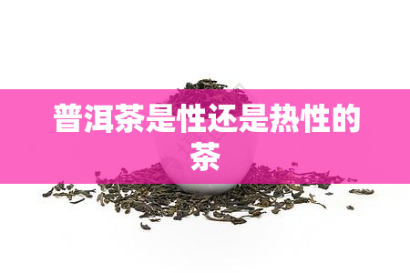 普洱茶是性还是热性的茶