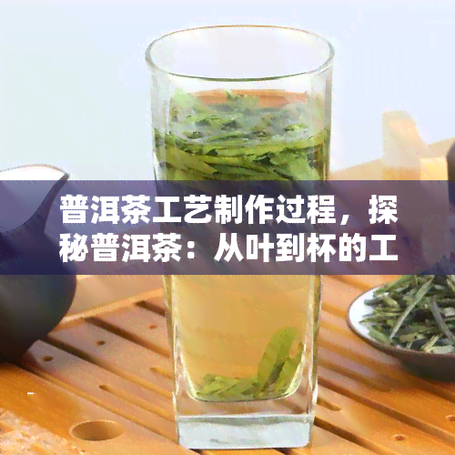 普洱茶工艺制作过程，探秘普洱茶：从叶到杯的工艺制作过程