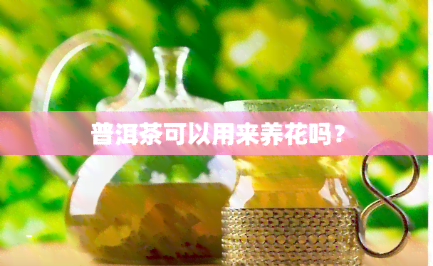 普洱茶可以用来养花吗？