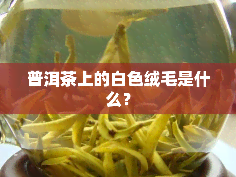 普洱茶上的白色绒毛是什么？