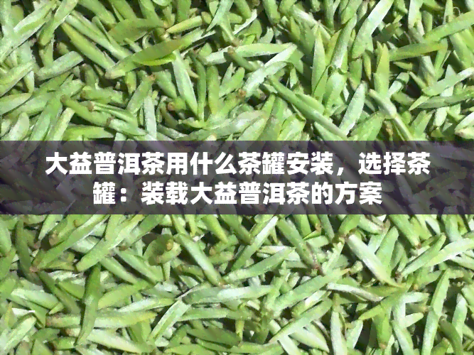 大益普洱茶用什么茶罐安装，选择茶罐：装载大益普洱茶的方案