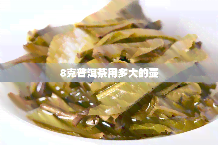 8克普洱茶用多大的壶