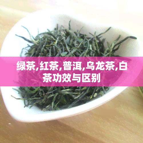 绿茶,红茶,普洱,乌龙茶,白茶功效与区别