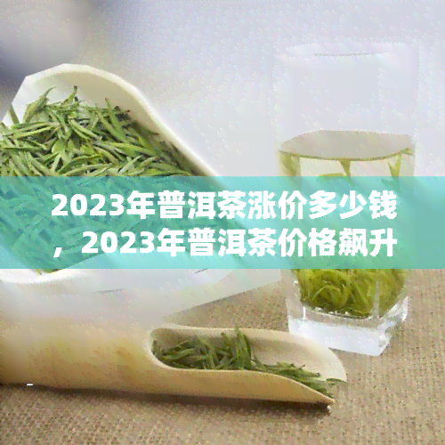 2023年普洱茶涨价多少钱，2023年普洱茶价格飙升！新涨价一览！