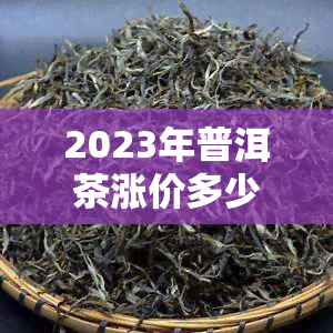 2023年普洱茶涨价多少钱一斤？