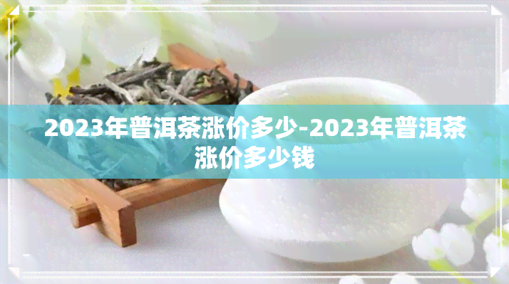 2023年普洱茶涨价多少-2023年普洱茶涨价多少钱