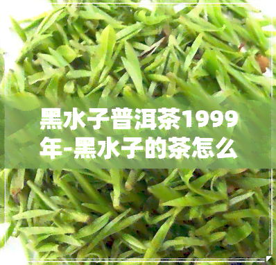 黑水子普洱茶1999年-黑水子的茶怎么样