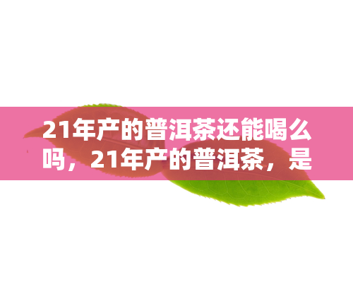 21年产的普洱茶还能喝么吗，21年产的普洱茶，是否值得品鉴？