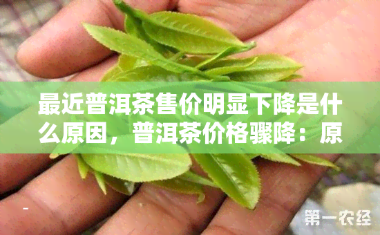 最近普洱茶售价明显下降是什么原因，普洱茶价格骤降：原因揭秘