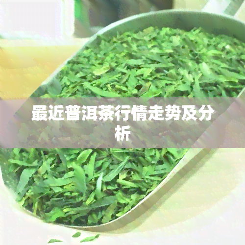 最近普洱茶行情走势及分析