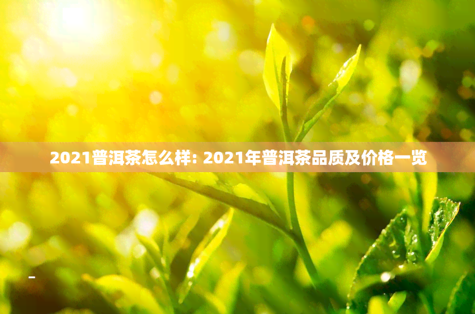 2021普洱茶怎么样: 2021年普洱茶品质及价格一览