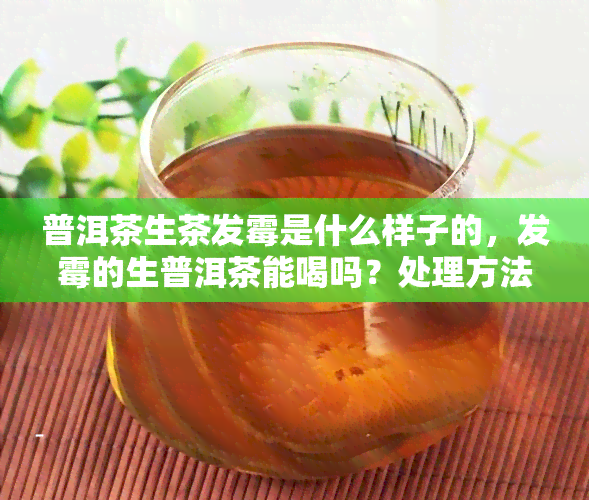 普洱茶生茶发霉是什么样子的，发霉的生普洱茶能喝吗？处理方法