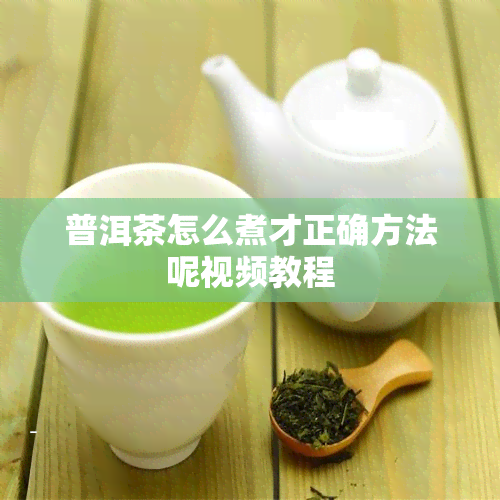 普洱茶怎么煮才正确方法呢视频教程