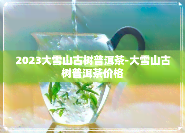 2023大雪山古树普洱茶-大雪山古树普洱茶价格