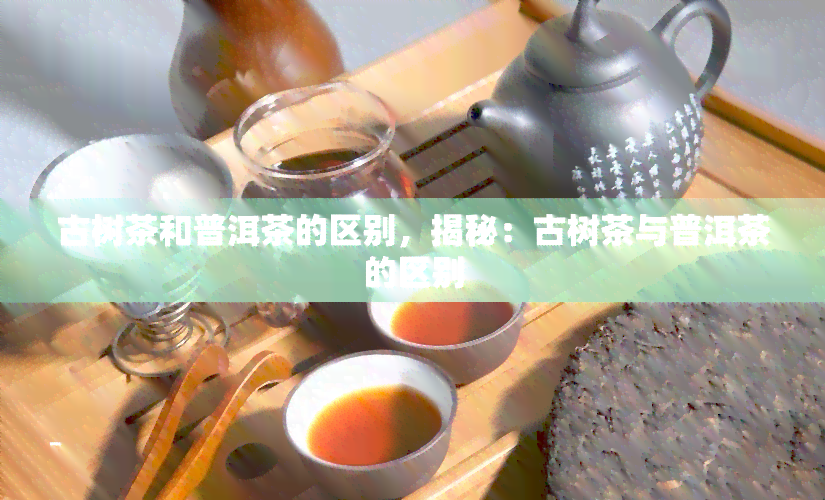 古树茶和普洱茶的区别，揭秘：古树茶与普洱茶的区别