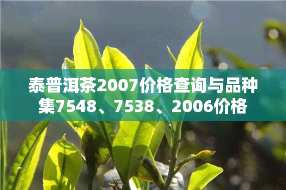 泰普洱茶2007价格查询与品种集7548、7538、2006价格