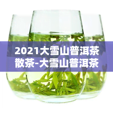 2021大雪山普洱茶散茶-大雪山普洱茶价格