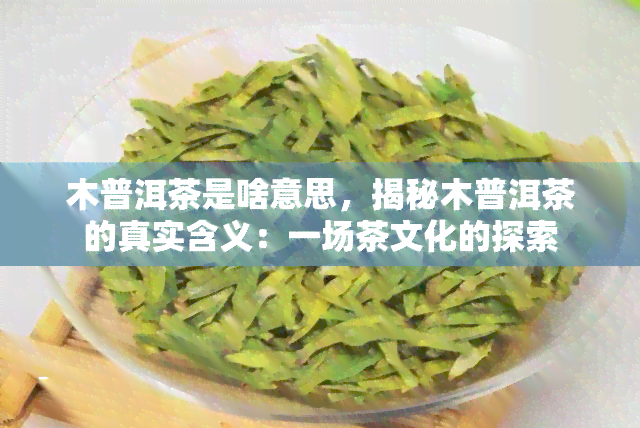 木普洱茶是啥意思，揭秘木普洱茶的真实含义：一场茶文化的探索