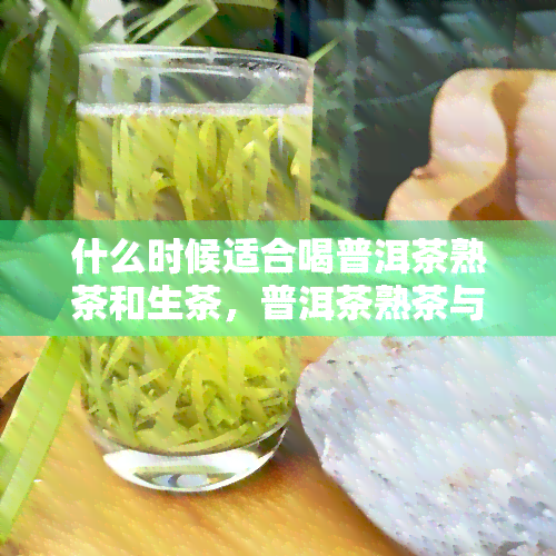 什么时候适合喝普洱茶熟茶和生茶，普洱茶熟茶与生茶：何时最宜品饮？