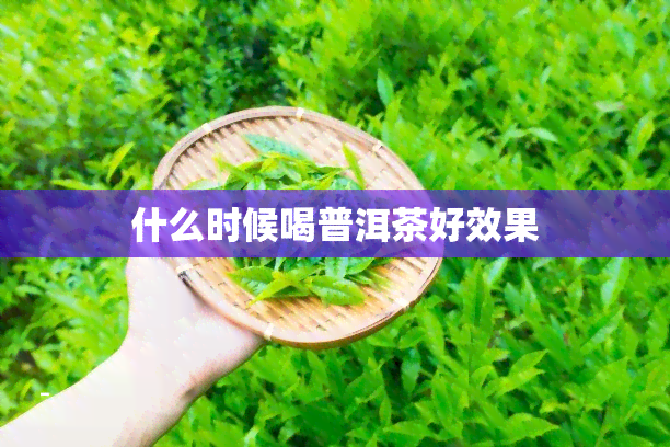 什么时候喝普洱茶好效果