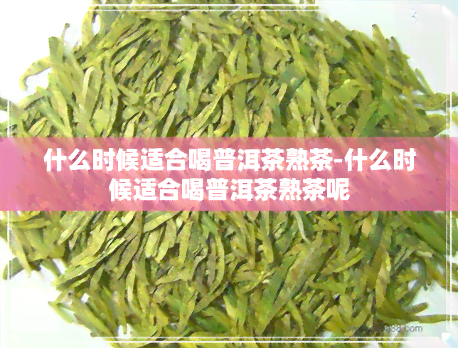 什么时候适合喝普洱茶熟茶-什么时候适合喝普洱茶熟茶呢